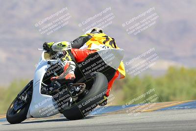 media/Apr-13-2025-Race Pace (Sun) [[7918213ab8]]/Vested/5-Turn 9 Side (1115am)/